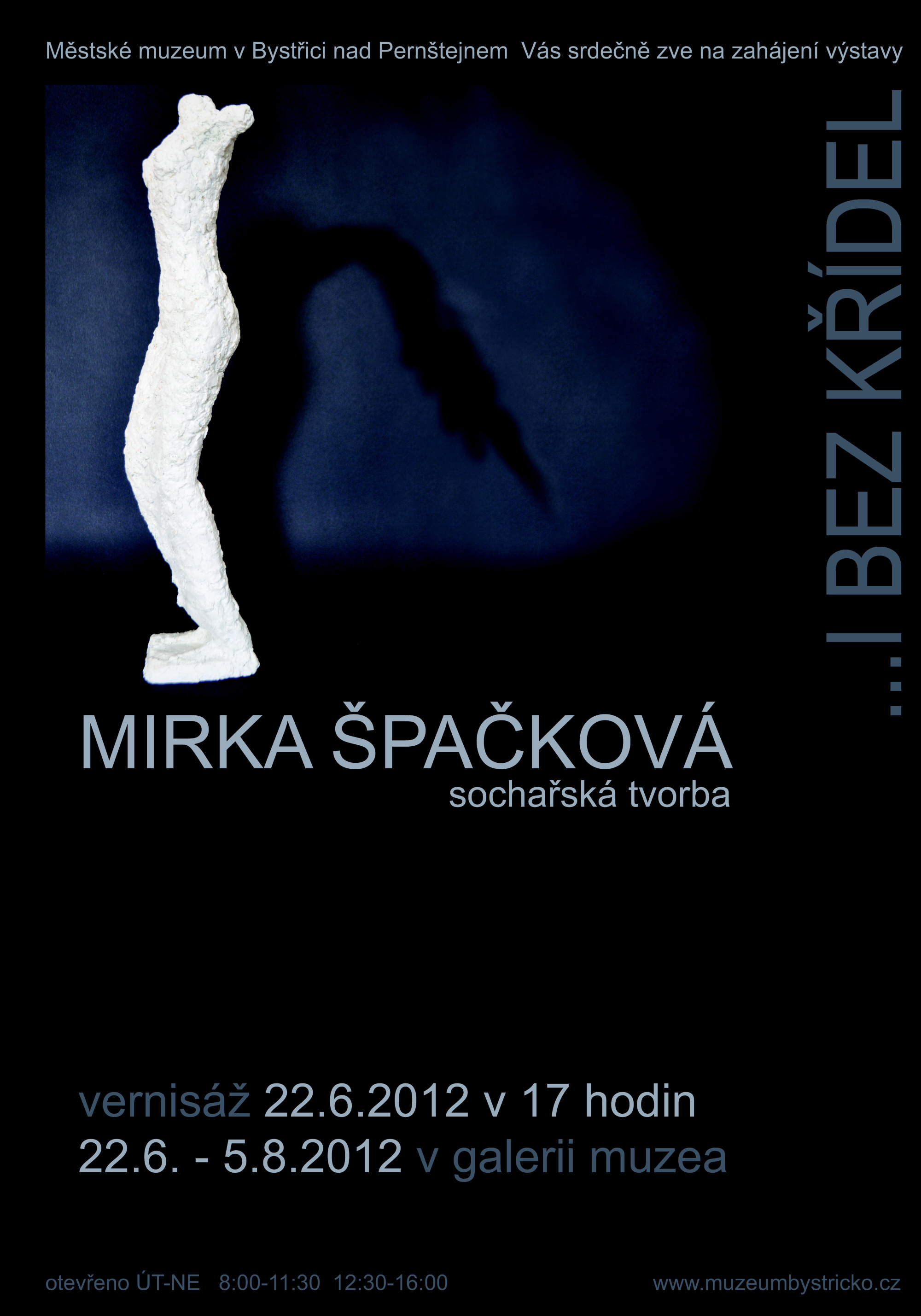 Mirka Špačková - ... I BEZ KŘÍDEL