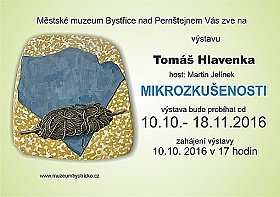 Tomáš Hlavenka - Mirkozkušenosti